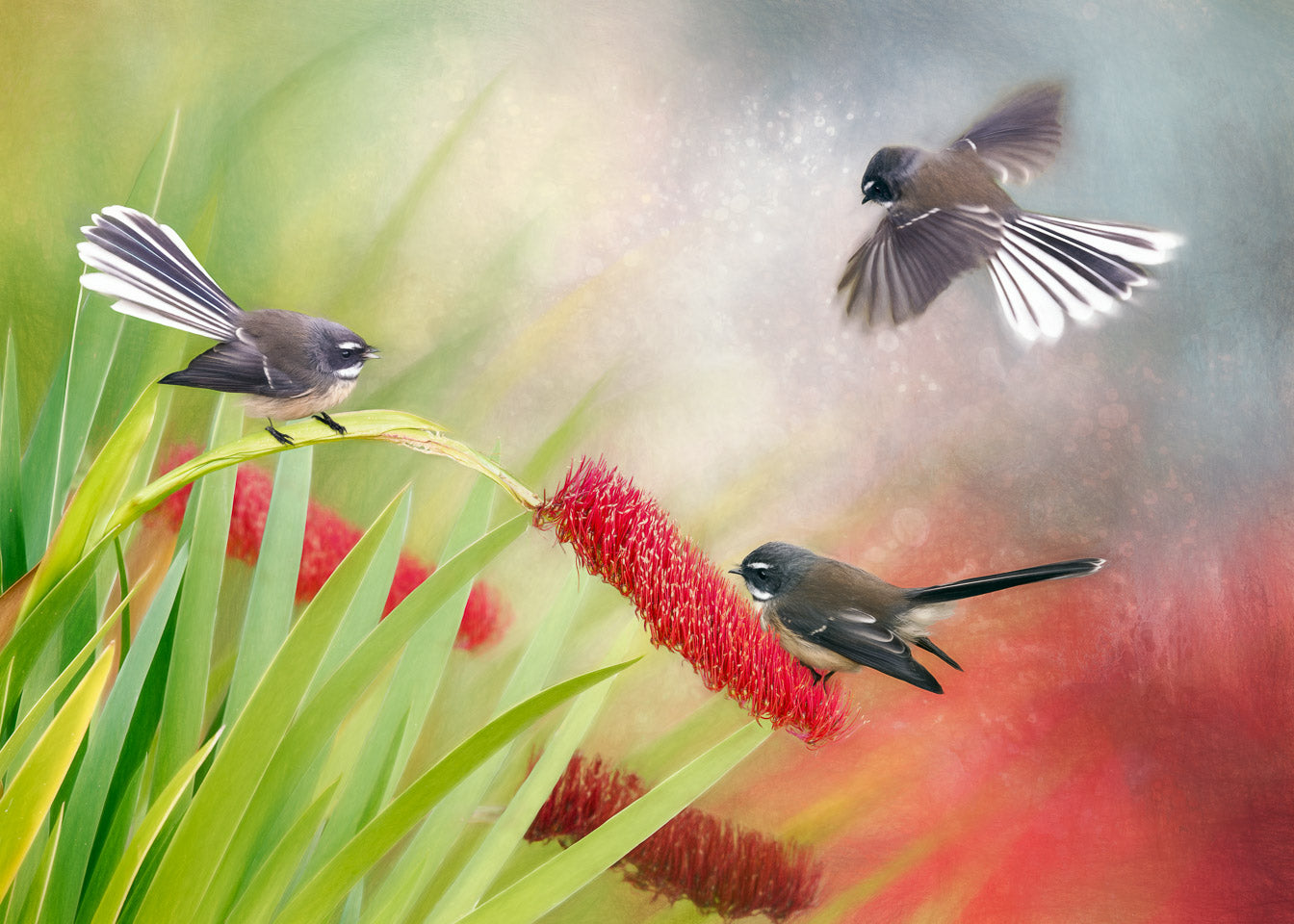 artwork of three fantails on a flower
