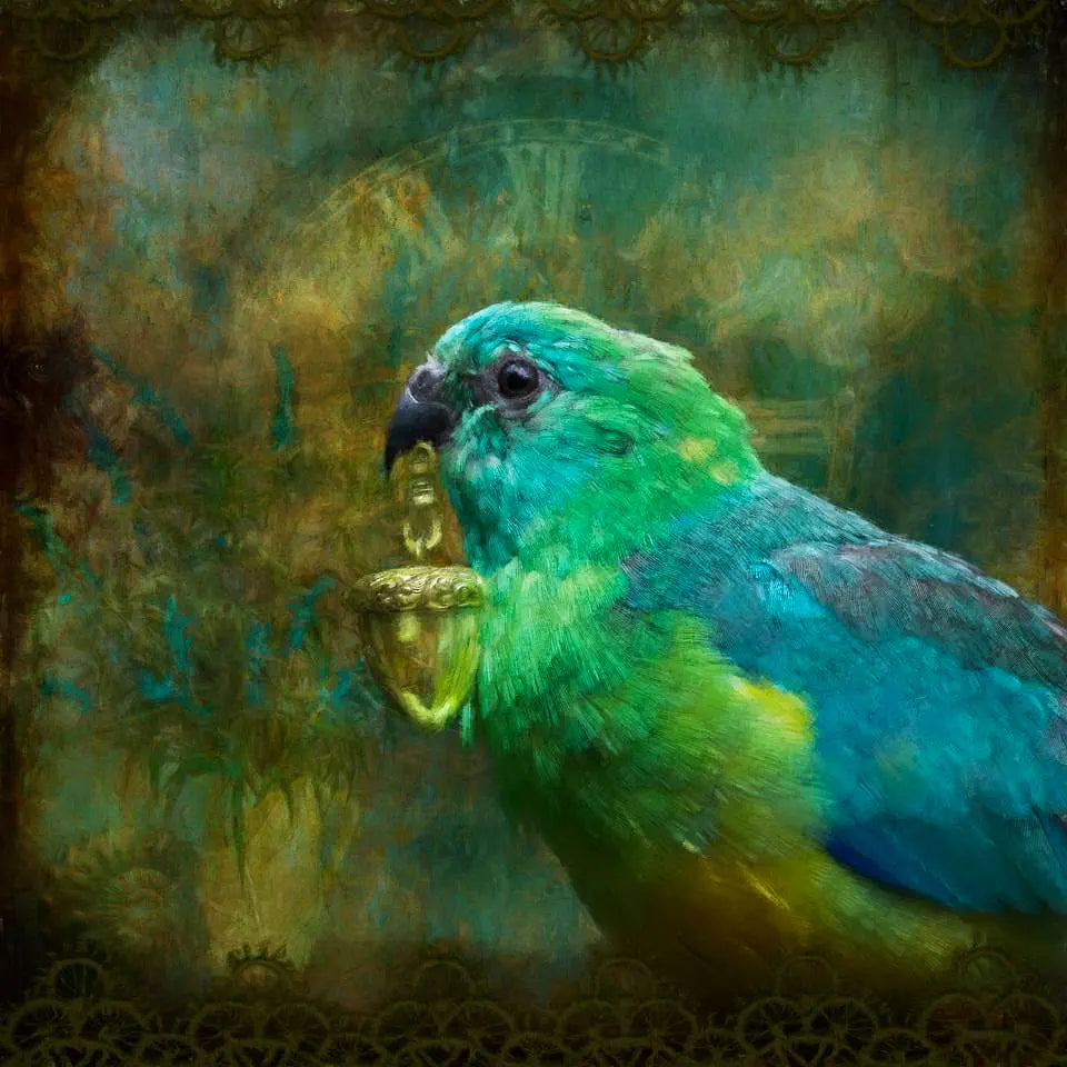 artwork of a parrot holding a gold acorn