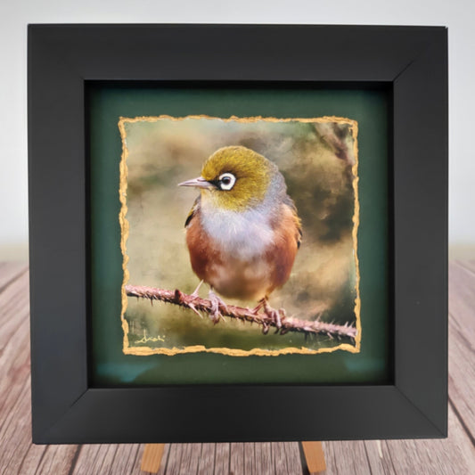 Framed artwork of a bird on a branch with a textured background