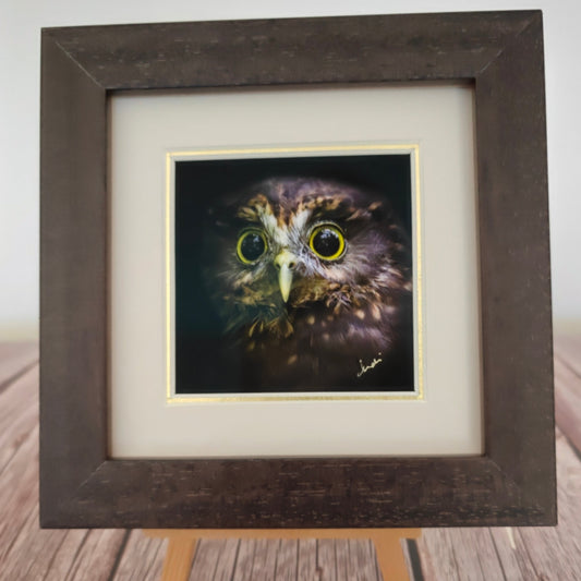 Framed artwork of an owl on a wooden surface