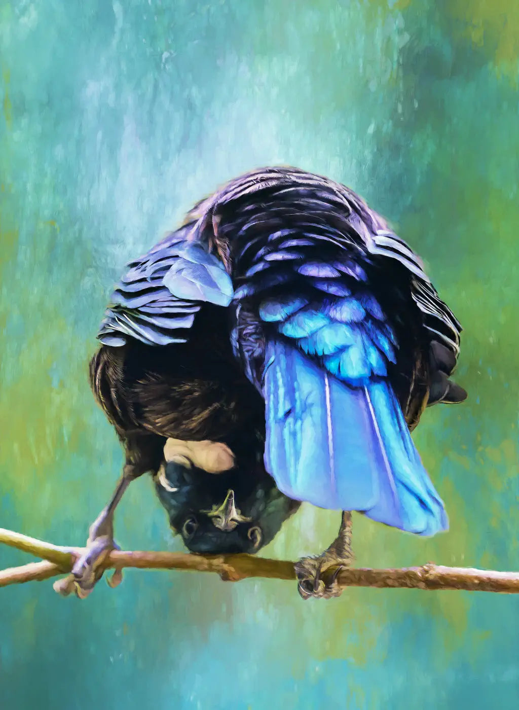 A tūī perched upside down on a branch in A New View 2, a fine-art print by Wellington bird artist Judi Lapsley Miller.