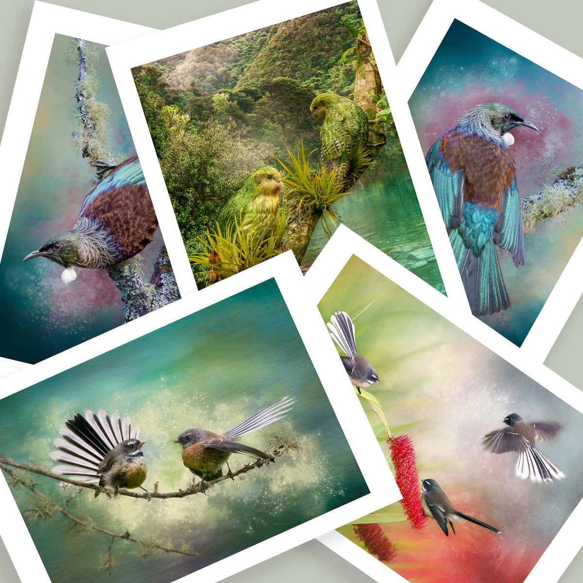 Five A5 fine-art prints of New Zealand birds—tūī, kākāpō and pīwakawaka—by Wellington artist Judi Lapsley Miller.