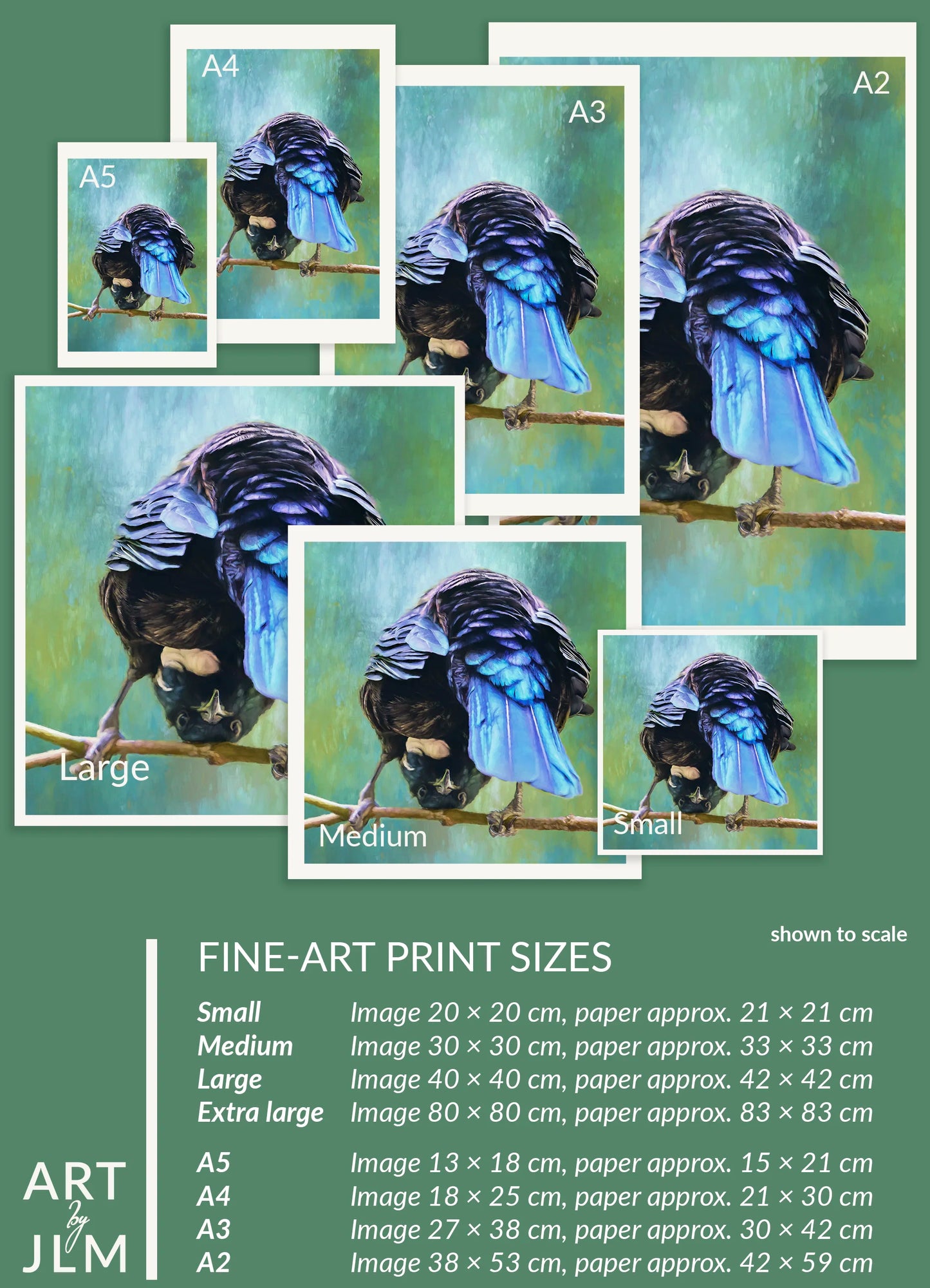 Fine-art print sizes chart with a bird illustration on a green background