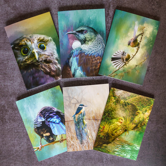 Six bird-themed greeting cards arranged on a textured gray surface. The prints feature colorful painted illustrations of various birds, including an owl, a tui, a small bird on a branch, a bird perched on a fence post, a kingfisher, and a scenic landscape with water and greenery.