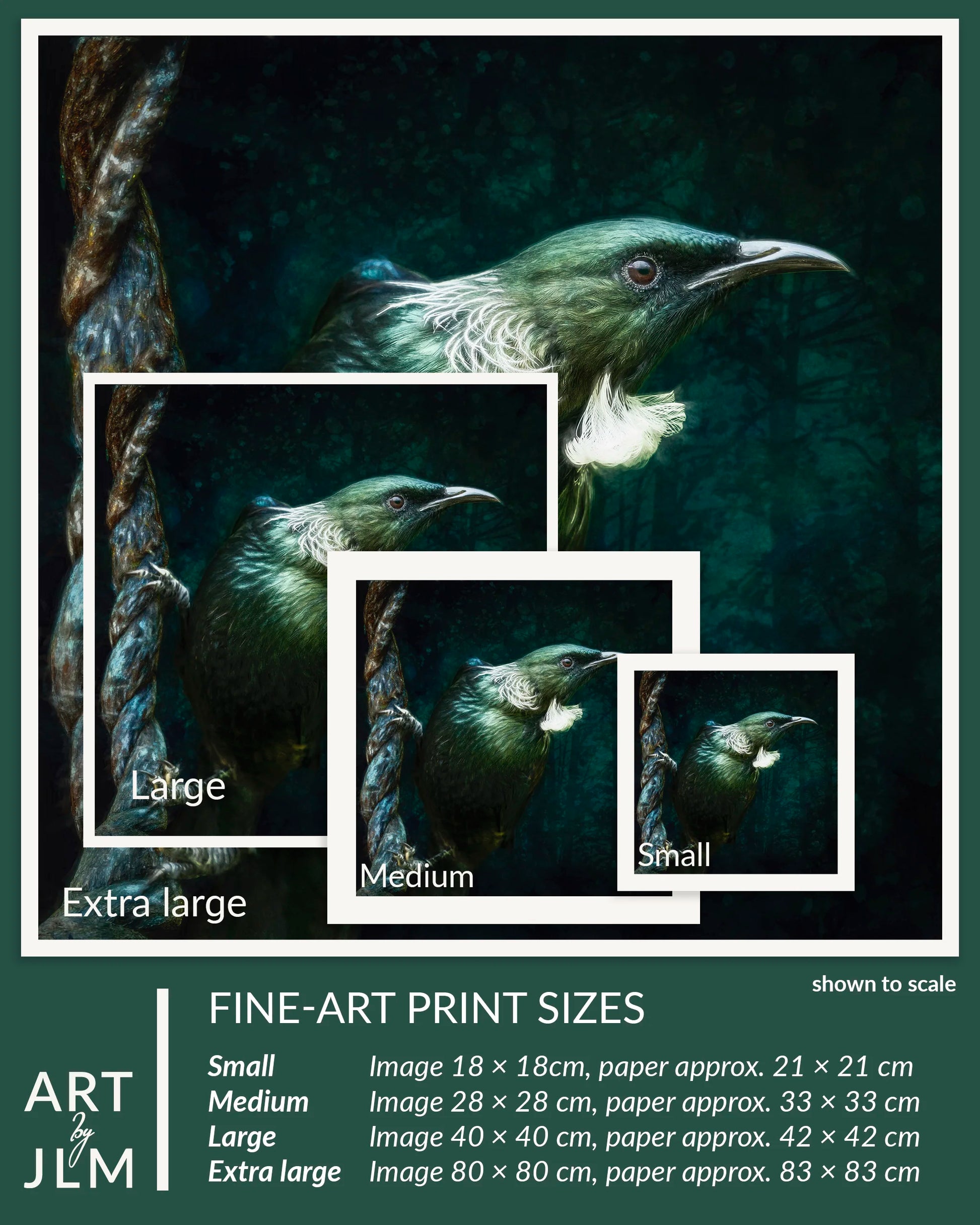 Fine-art print sizes of a bird illustration with scale indicators.