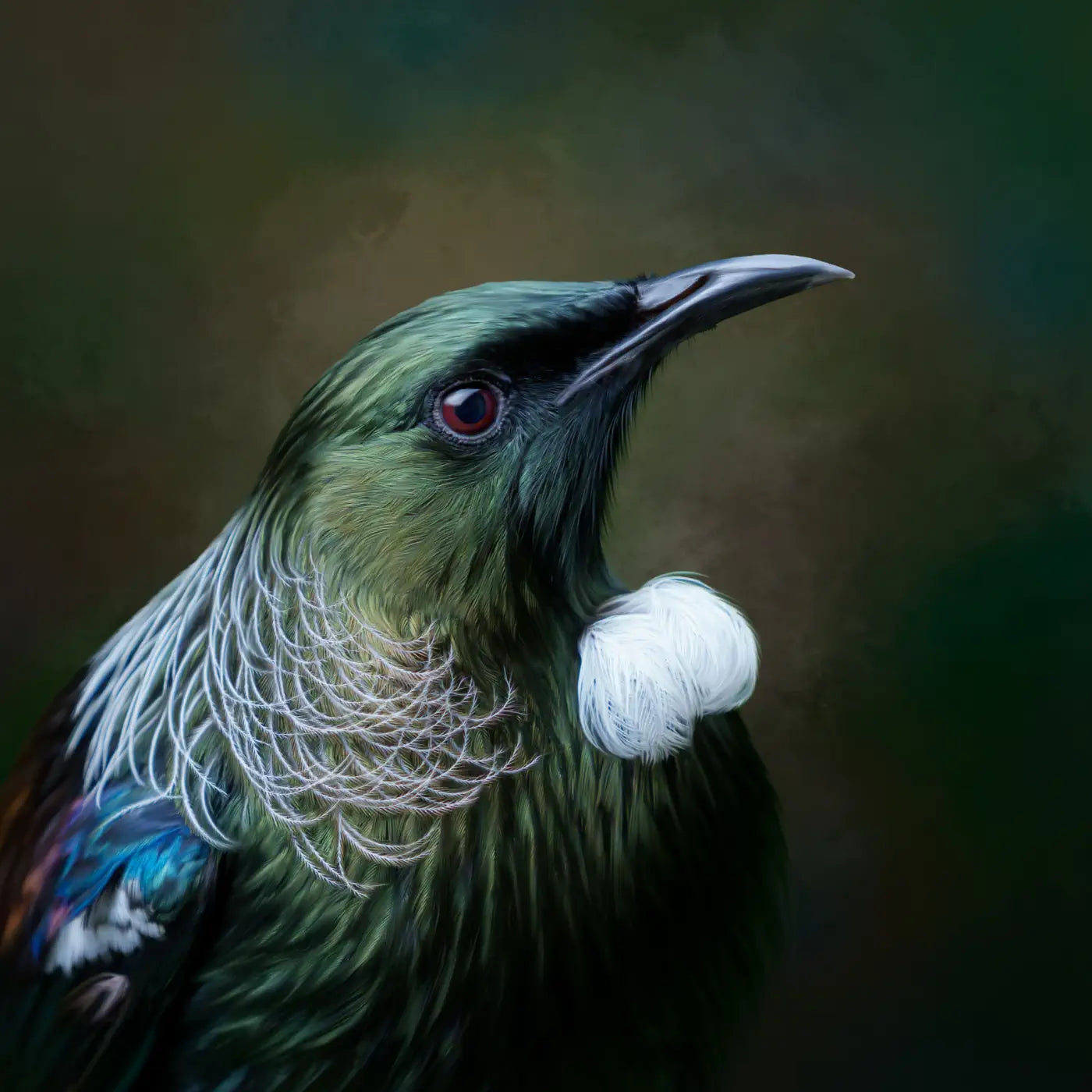 a painting of a gorgeous tūī bird in profile