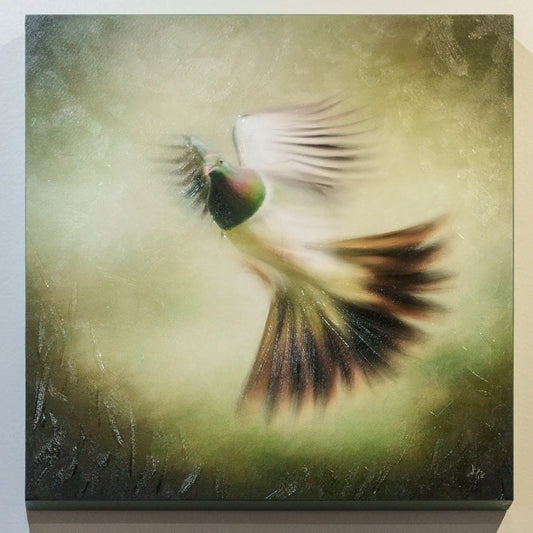 Artwork of kereru in flight with impasto finish