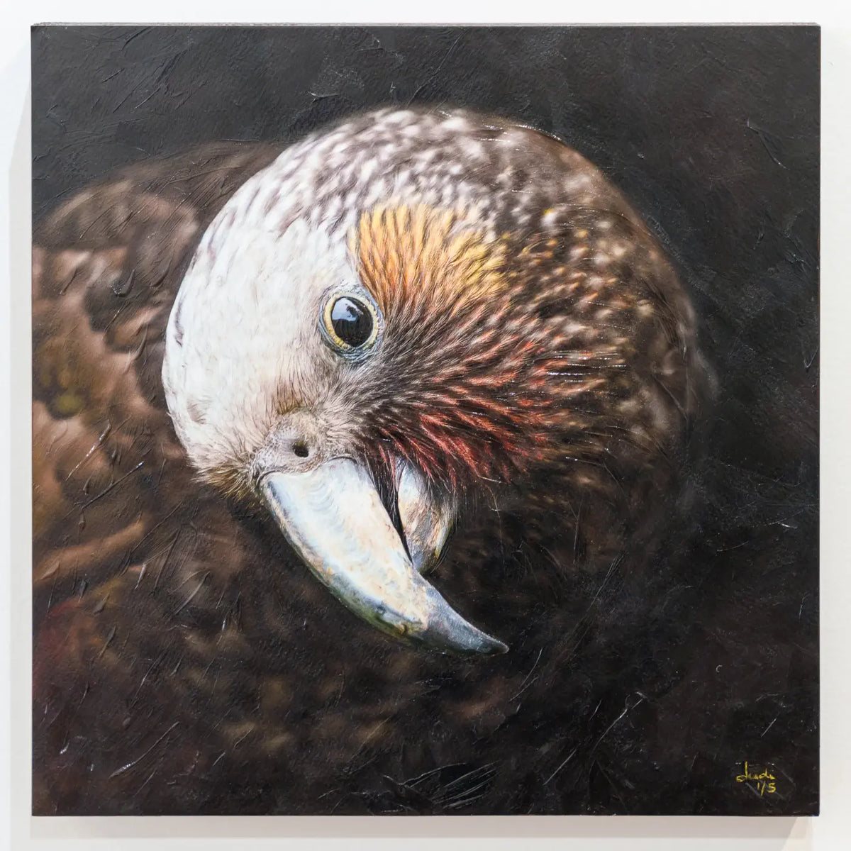 The Sweetheart, a kākā portrait finished with hand-applied impasto and mounted on a wooden board by Judi Lapsley Miller.