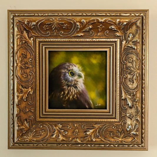 The Stargazer (ruru) - Framed TinyArt