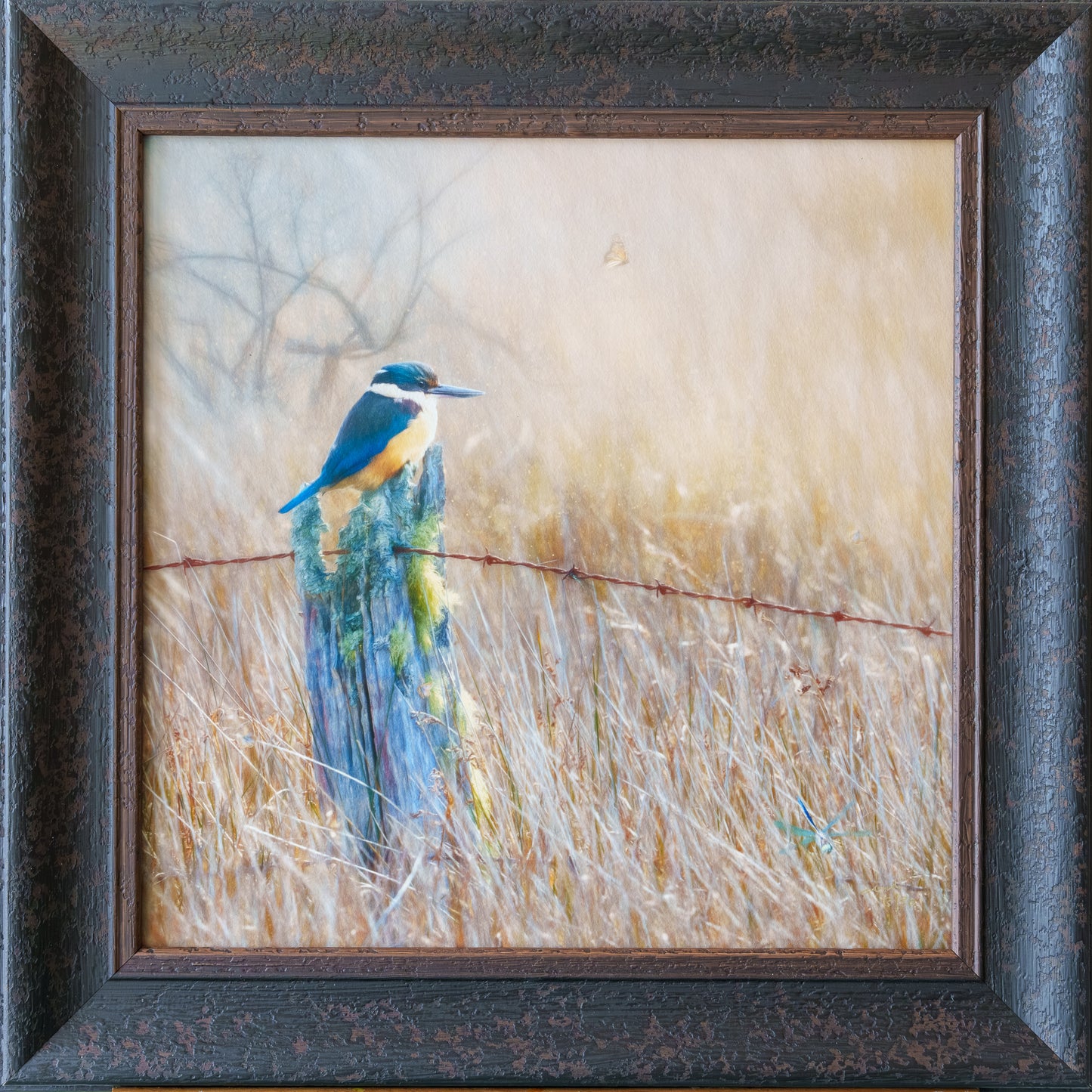 Framed square painting of a blue and yellow kingfisher perched on a post in a field of dry golden grass, with a rustic dark brown textured frame.
