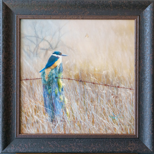 Framed square painting of a blue and yellow kingfisher perched on a post in a field of dry golden grass, with a rustic dark brown textured frame.