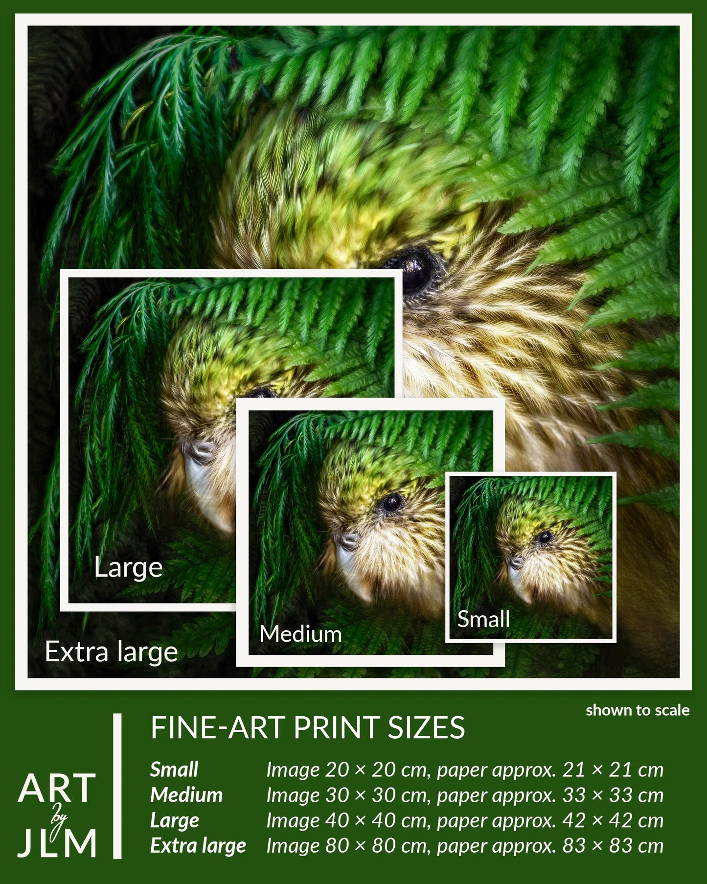 Fine-art print sizes of a bird in foliage with scale indicators.