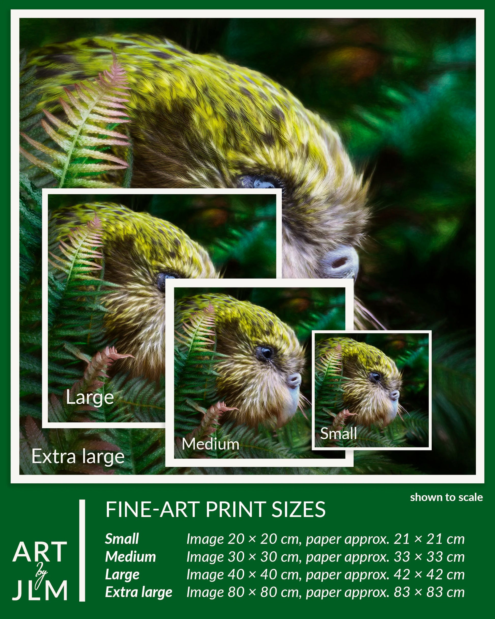 Fine-art print sizes of a green parrot with scale text and dimensions.