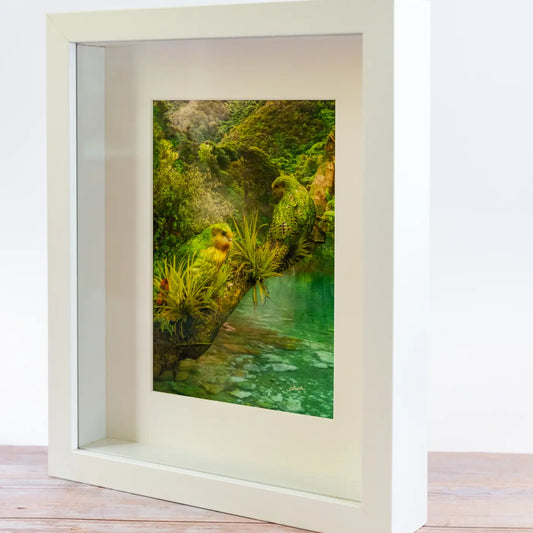 picture of two kakapo in a white frame - angled view