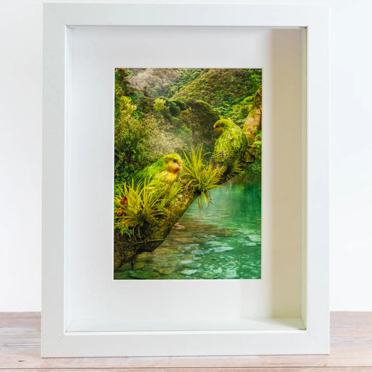 picture of two kakapo in a white frame