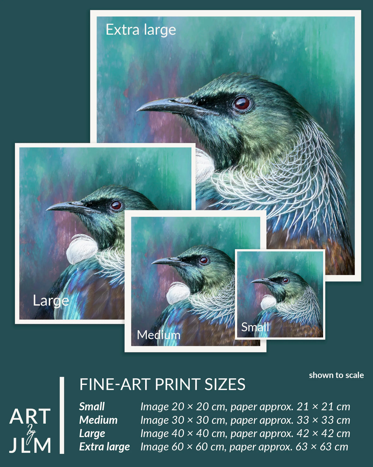 A size guide for fine-art prints showing a tui bird portrait artwork in multiple sizes: Small, Medium, Large, and Extra large, with printed dimensions listed at the bottom on a dark teal background.