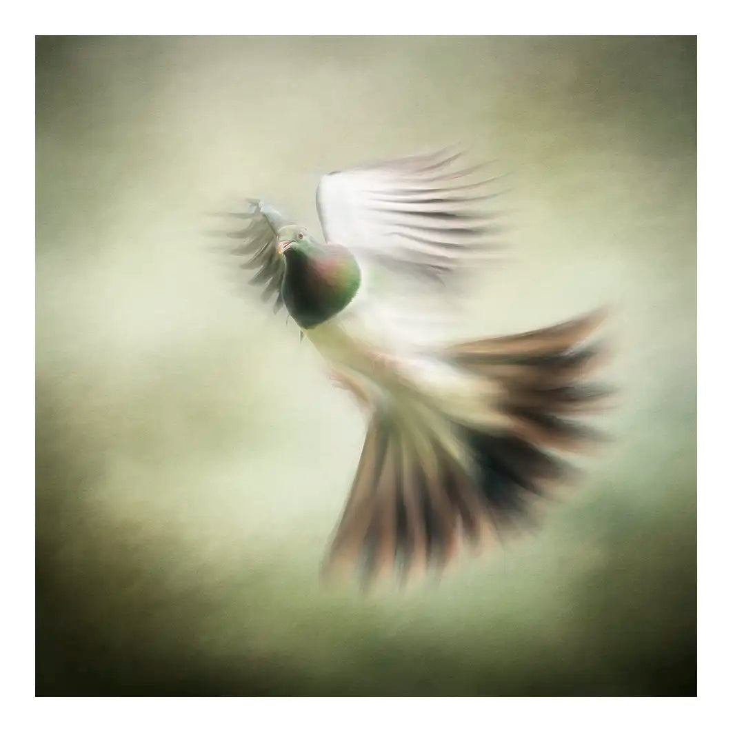 flying kereru artwork