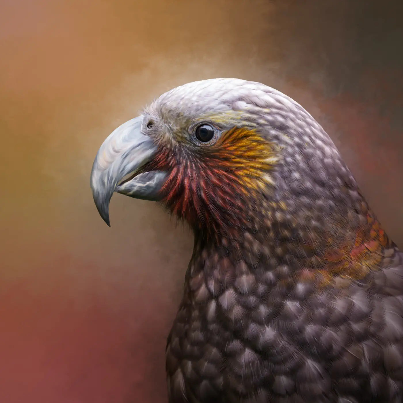 Kākā painting