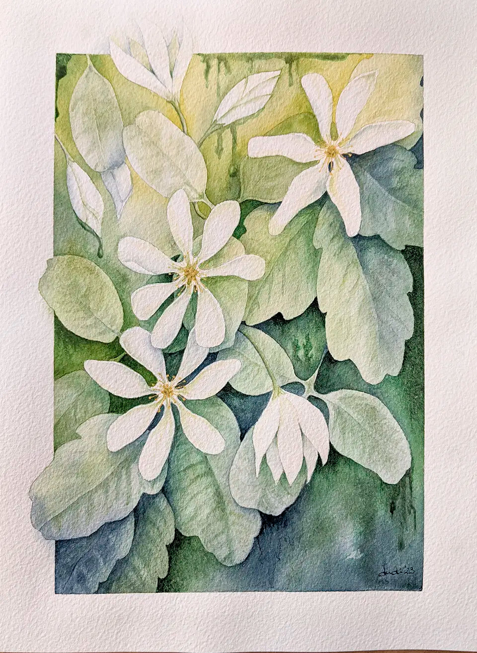 watercolour painting of clematis