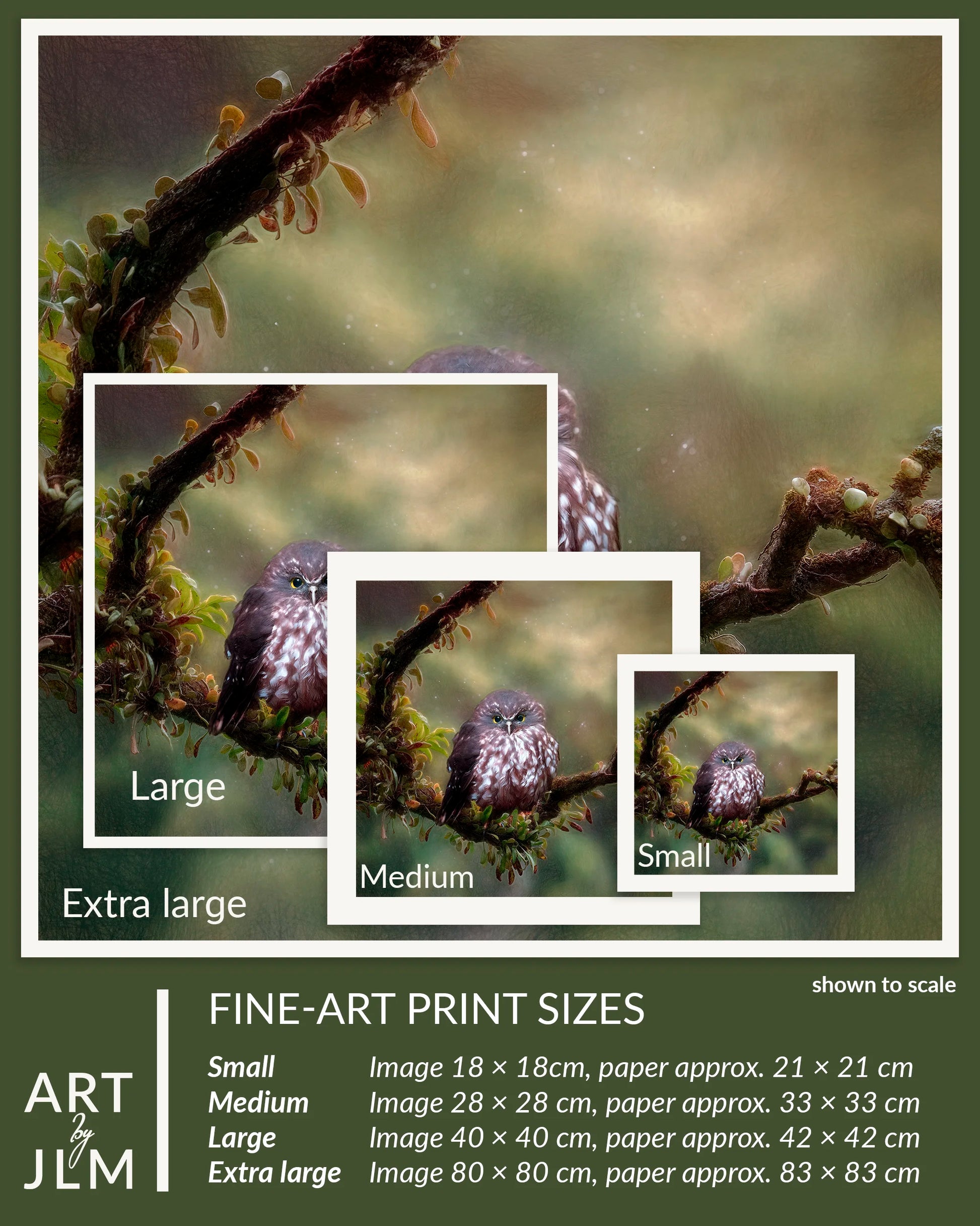 Fine-art print sizes of an owl on a branch with corresponding dimensions.