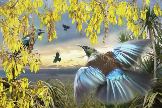 Te Āhumairangi Dawn Tūī - fine art print
