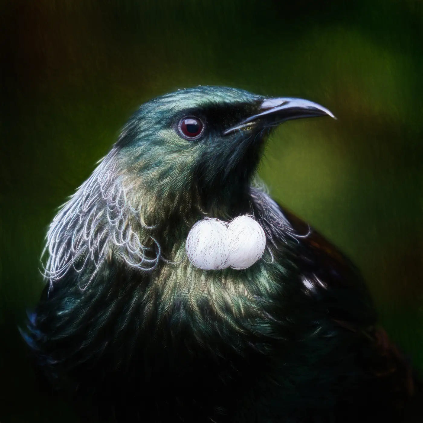 Artwork of a fine tūī bird