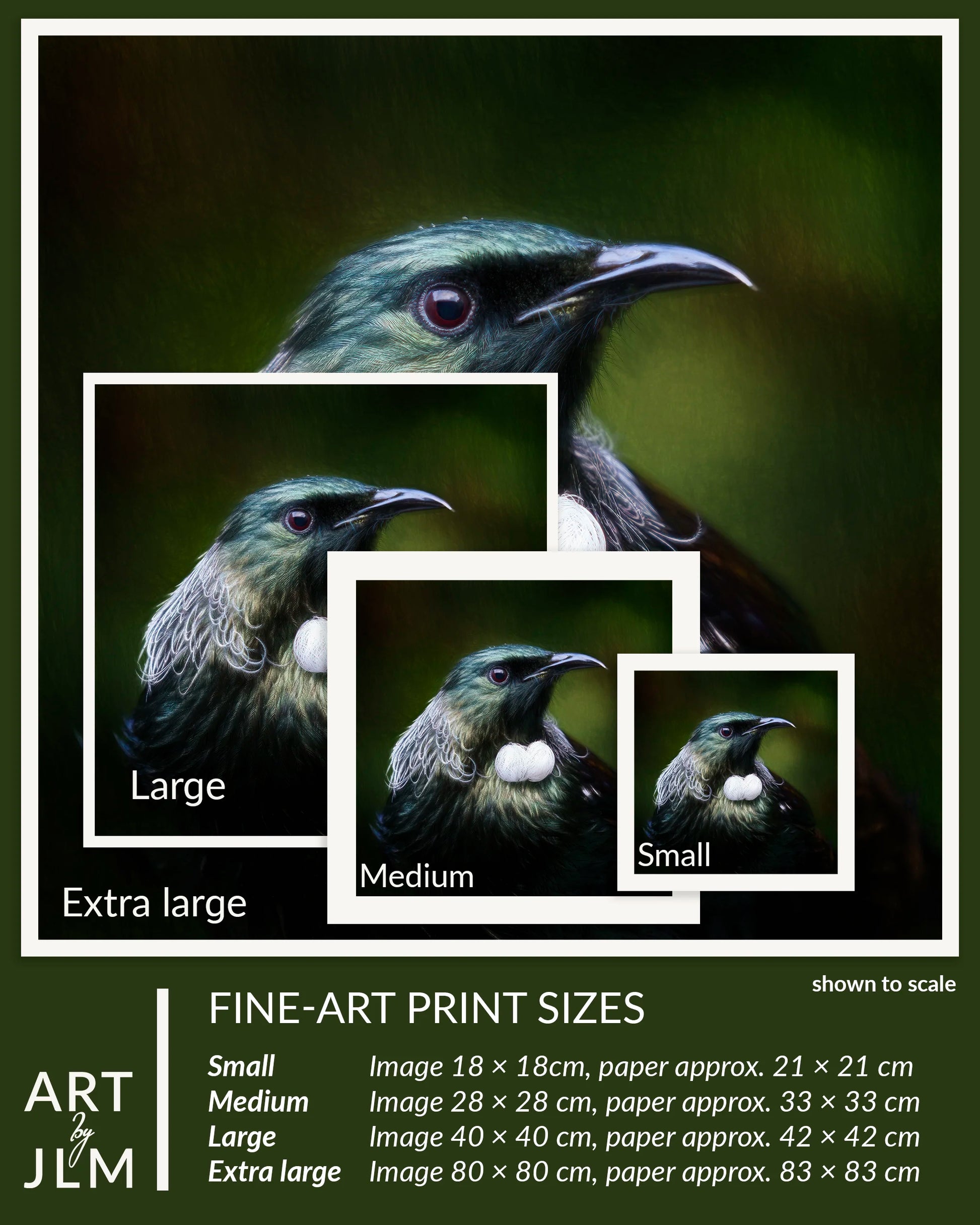 Artistic depiction of a bird with size chart for fine-art prints on a dark background.