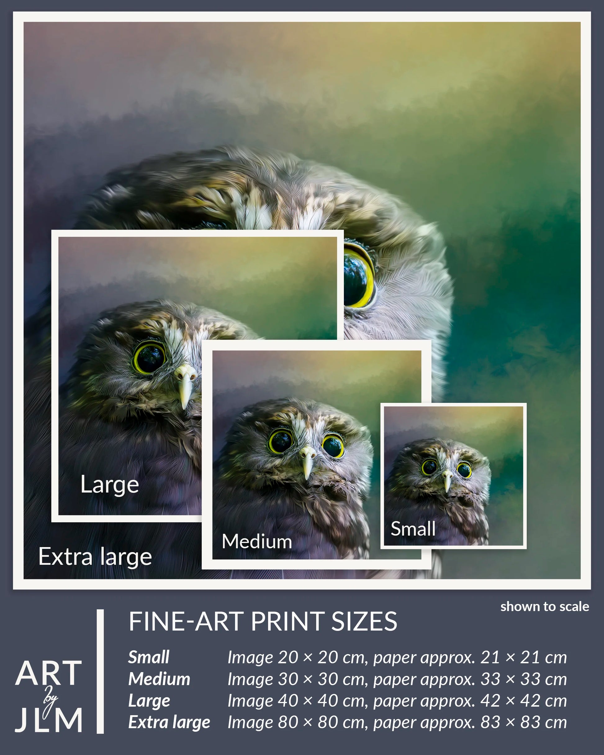 Fine-art print sizes of an owl with corresponding dimensions.