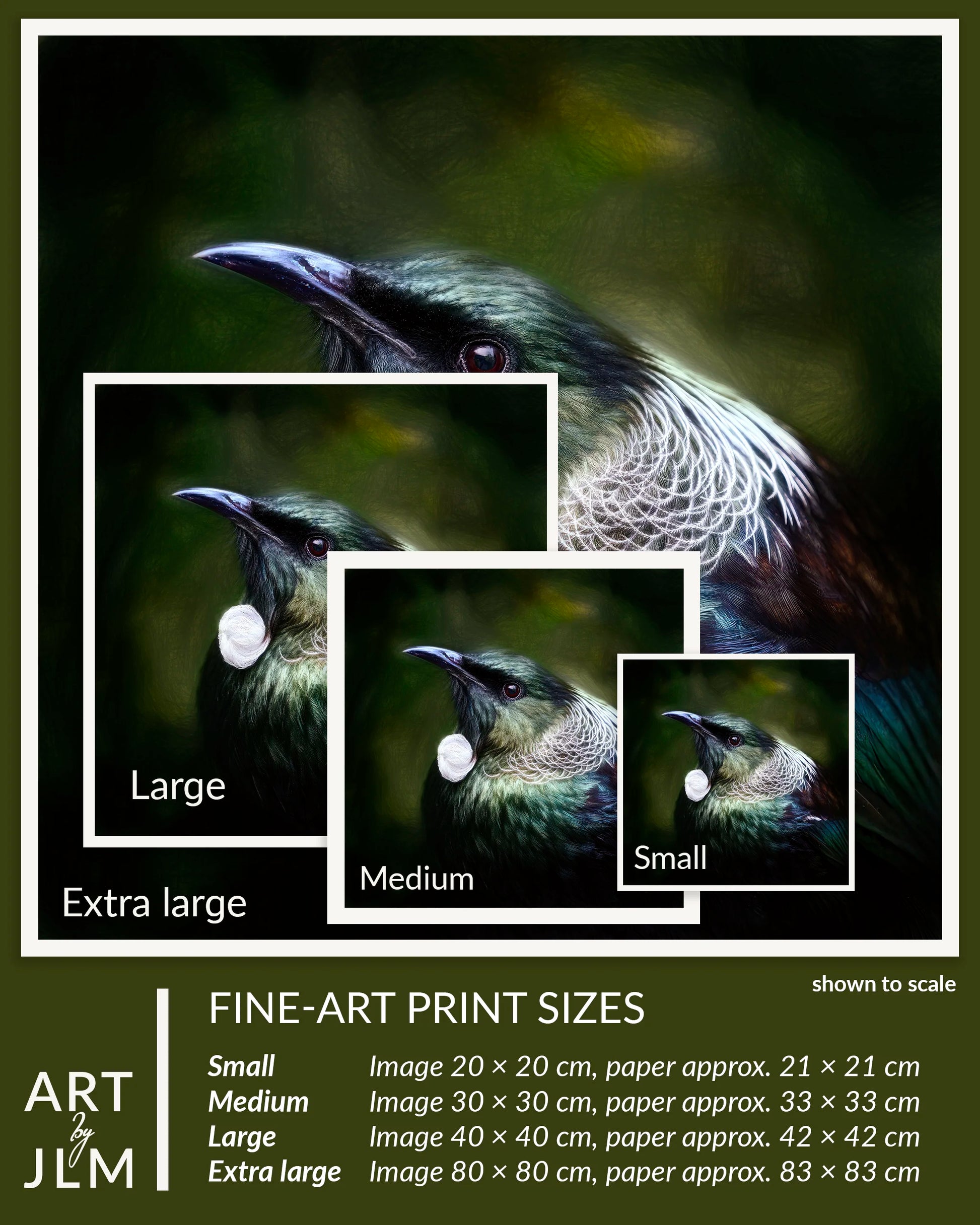 Artistic depiction of a bird with size chart and dimensions on a dark background