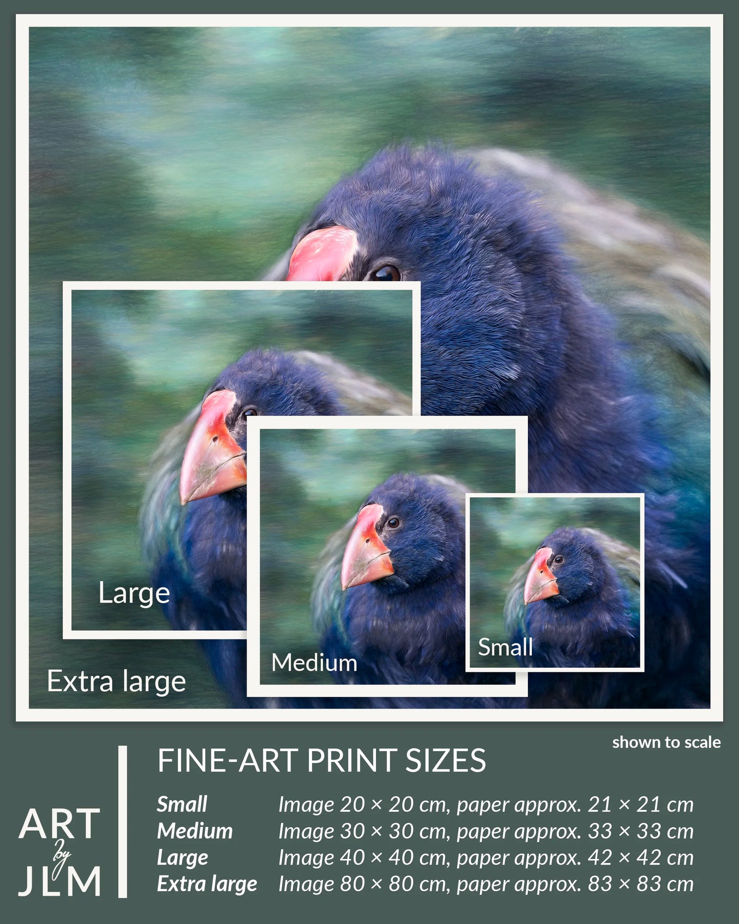 Fine-art print sizes of a bird with insets labeled 'Small', 'Medium', 'Large', and 'Extra large'.