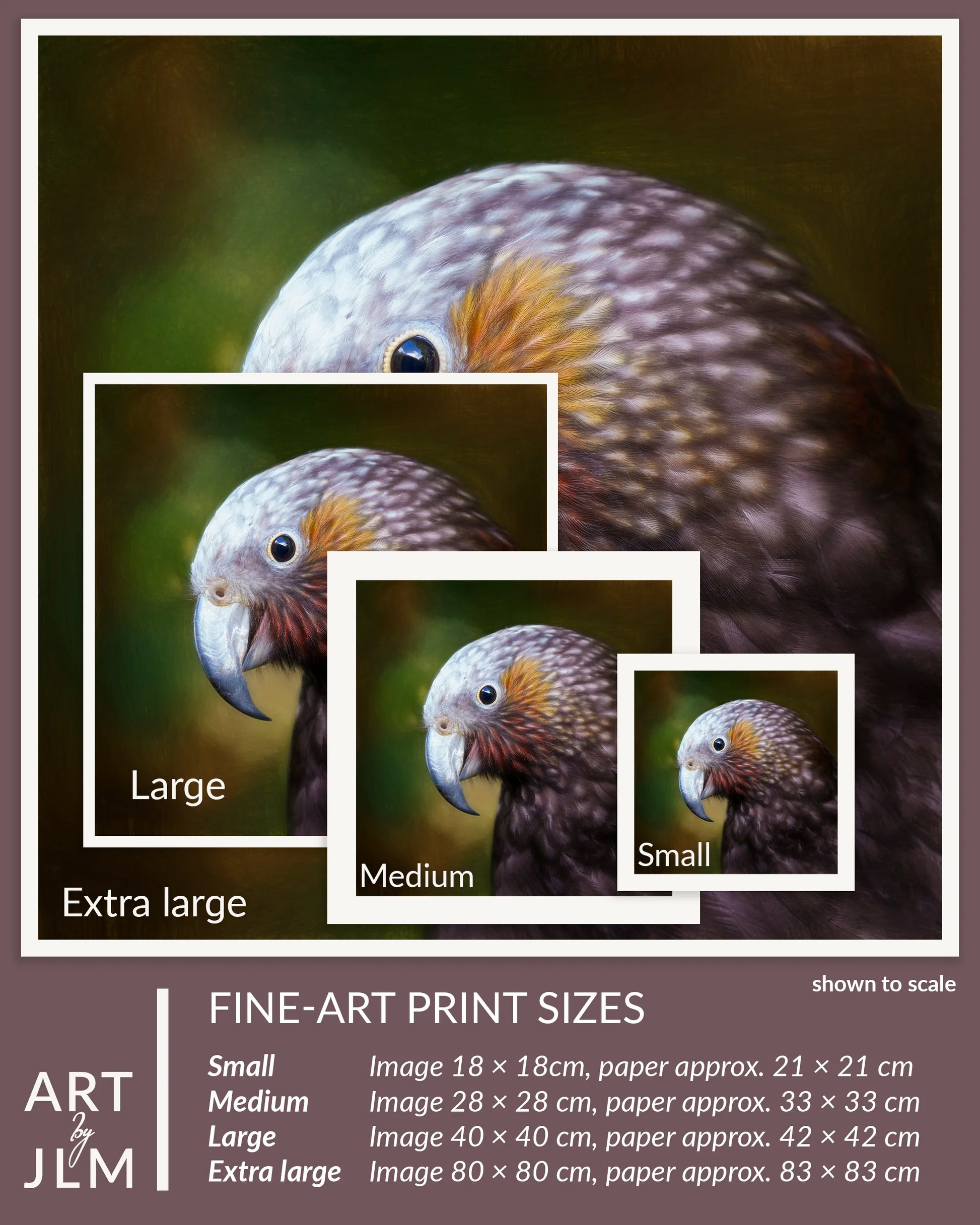 Print variants for kaka portrait
