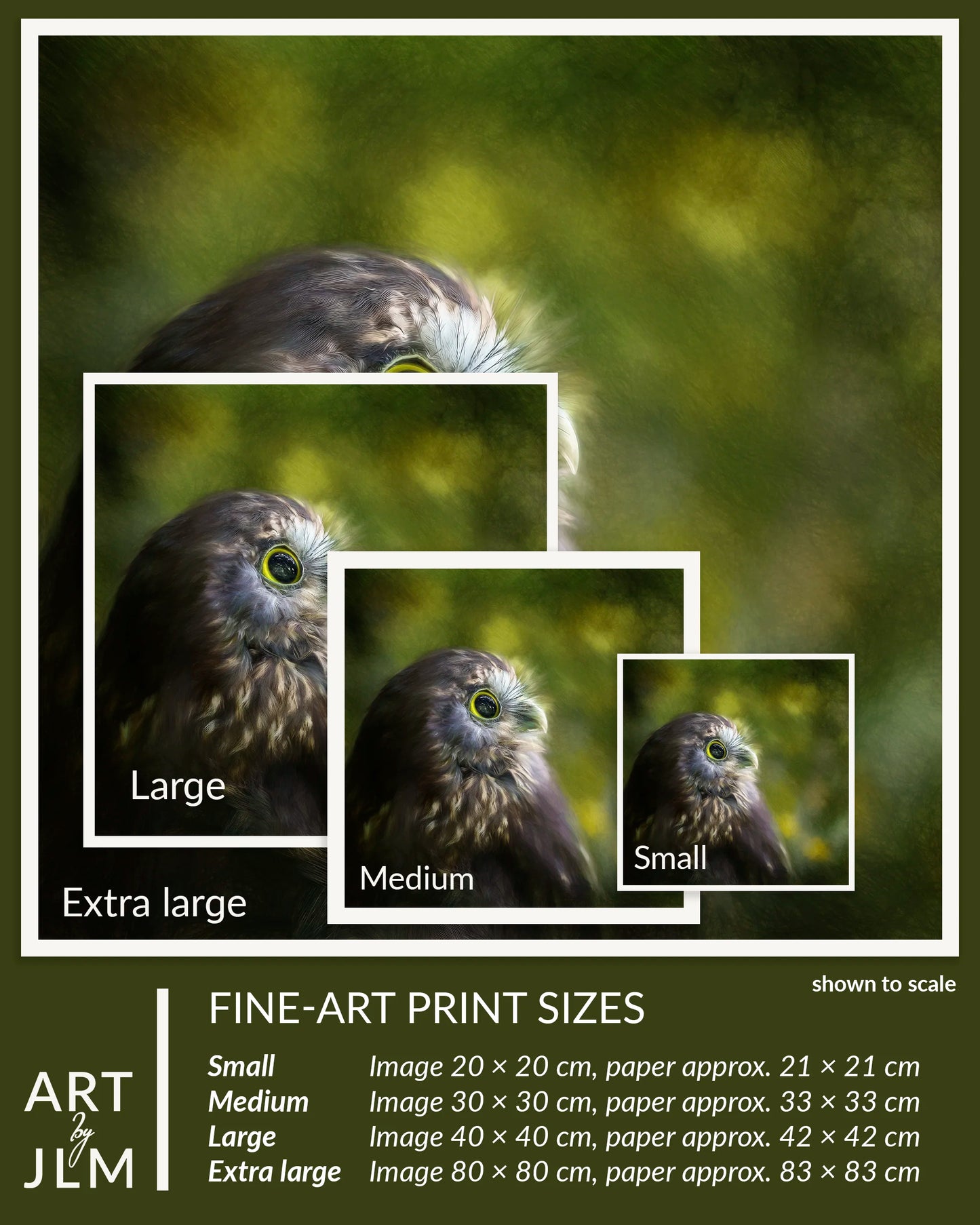 Fine-art print sizes of an owl with scale indicators and dimensions.