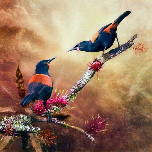 A stylized painting of two tīeke saddleback birds perched on branches with pink rewarewa flowers against a warm golden-brown textured background.