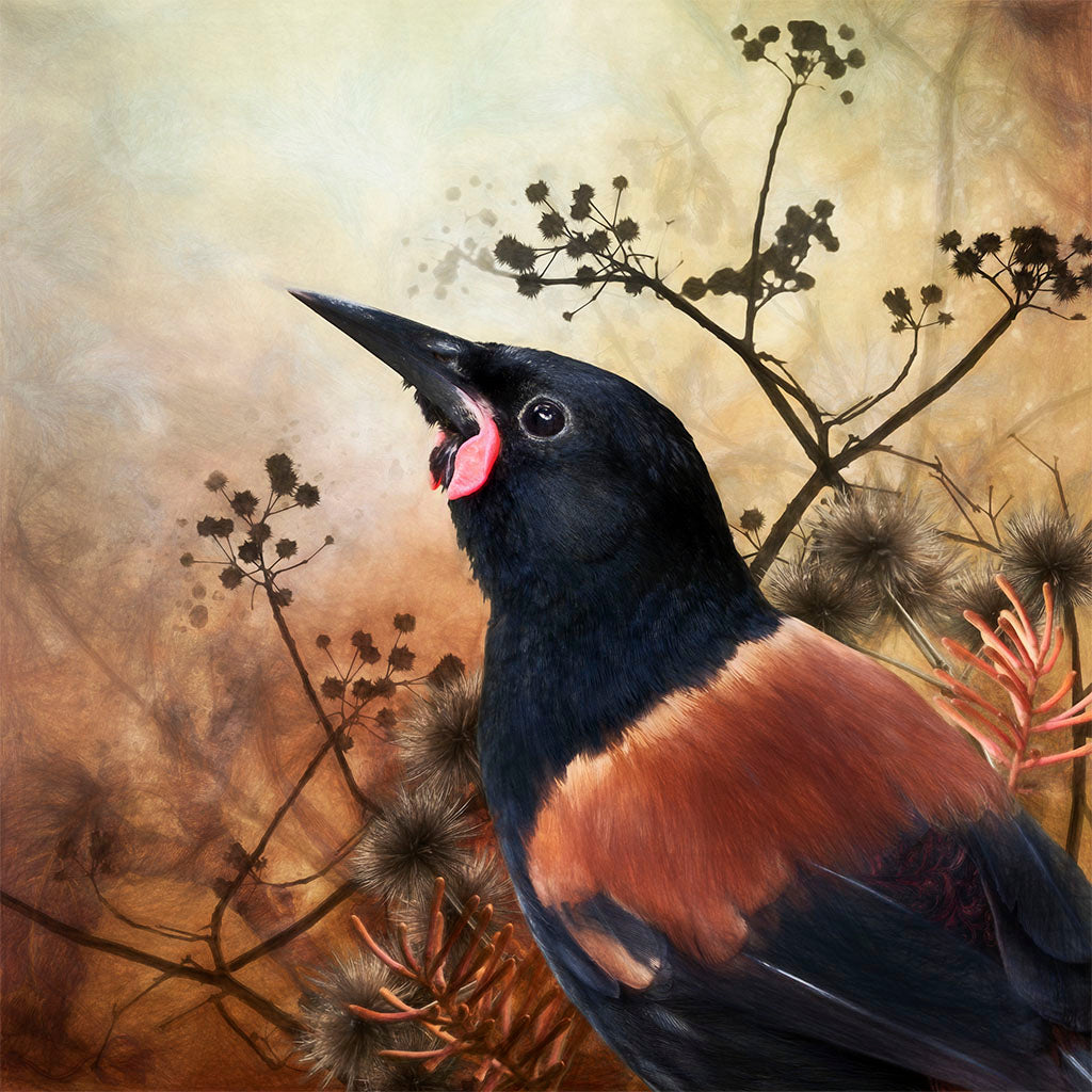 A stylized painting of a tīeke saddleback bird with a black head and neck, a warm copper-brown saddle, and dark wings, set against a soft beige and brown background with silhouetted branches and seed heads.