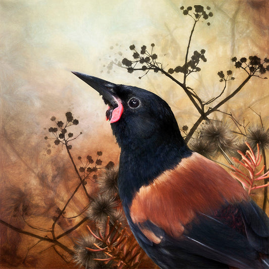 A stylized painting of a tīeke saddleback bird with a black head and neck, a warm copper-brown saddle, and dark wings, set against a soft beige and brown background with silhouetted branches and seed heads.