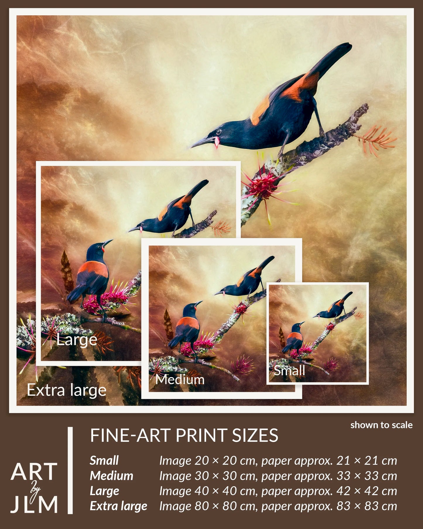 Fine-art print size chart showing a bird artwork in multiple sizes: Small, Medium, Large, and Extra large, with dimensions listed at the bottom on a brown background.