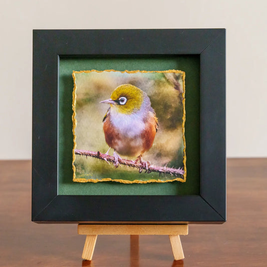 Framed artwork of a bird on a branch with a black frame and green mat.