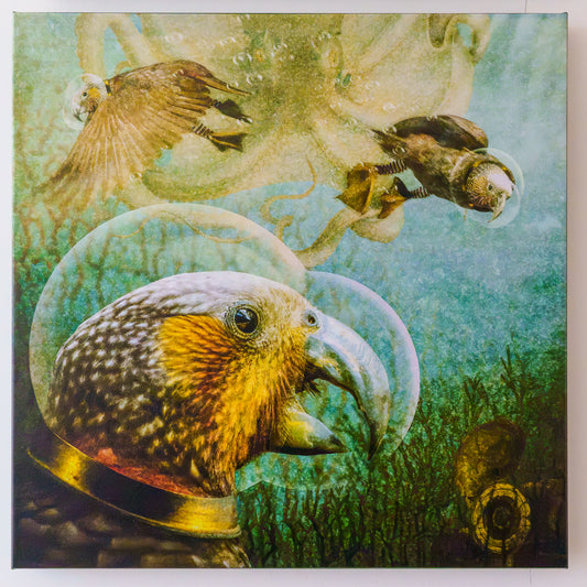 Uncharted waters (kākā) - fine art canvas