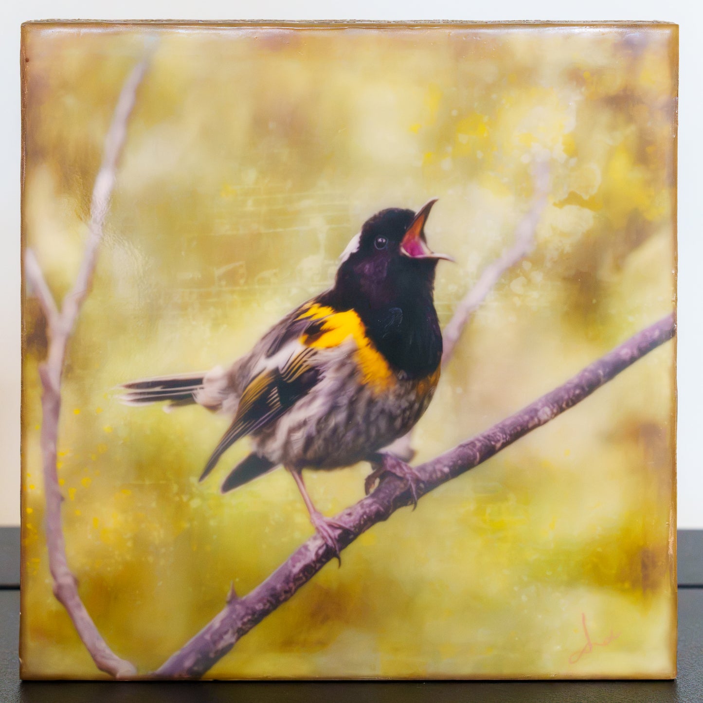 a singing hihi bird print finished with wax encaustic