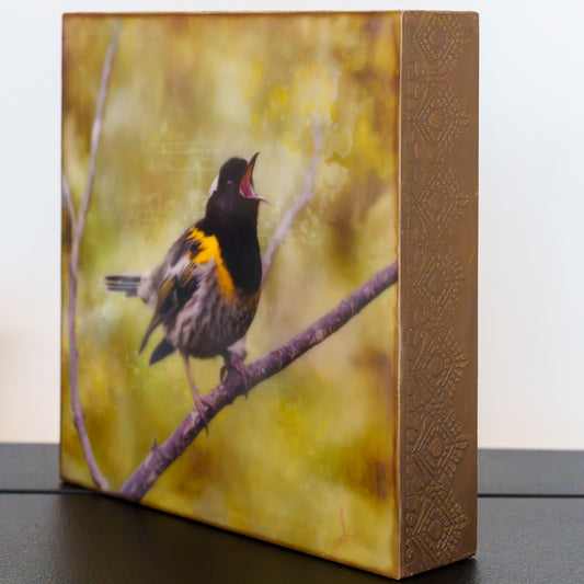 a singing hihi bird print finished with wax encaustic, side view
