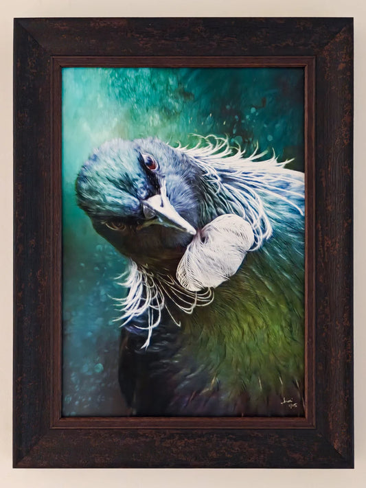 a judgemental tui portrait in a rustic frame