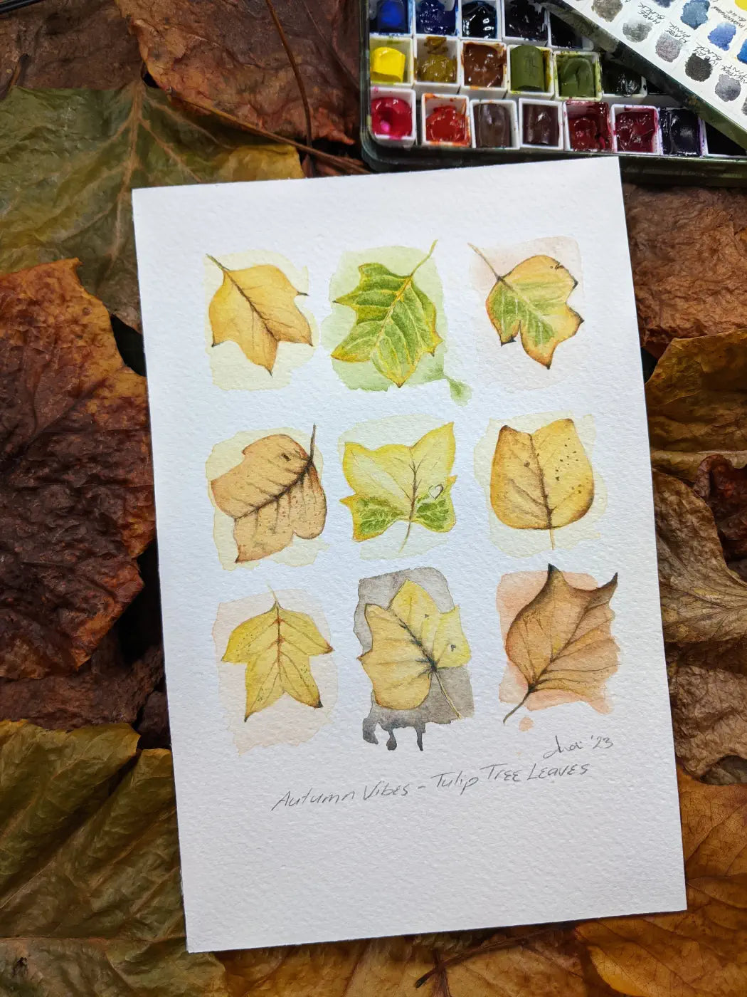 Watercolour painting of 9 autumn leaves