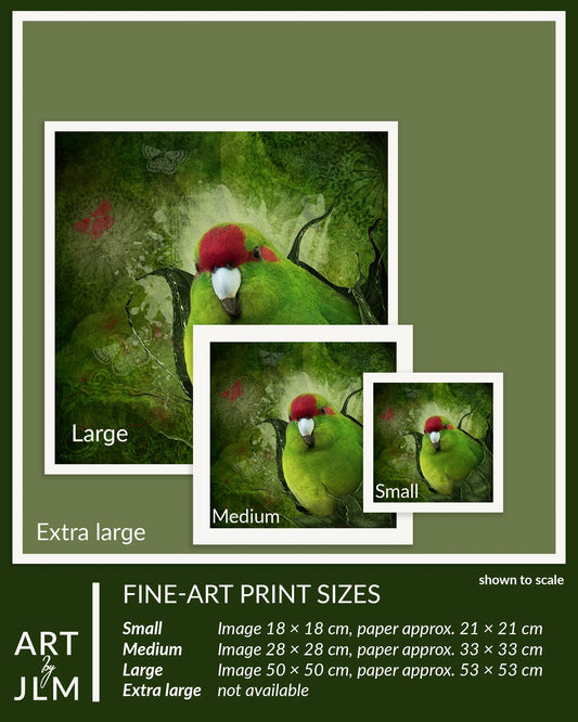 Fine-art print sizes of a green parrot with a red hat on a green background, with text indicating different size options.