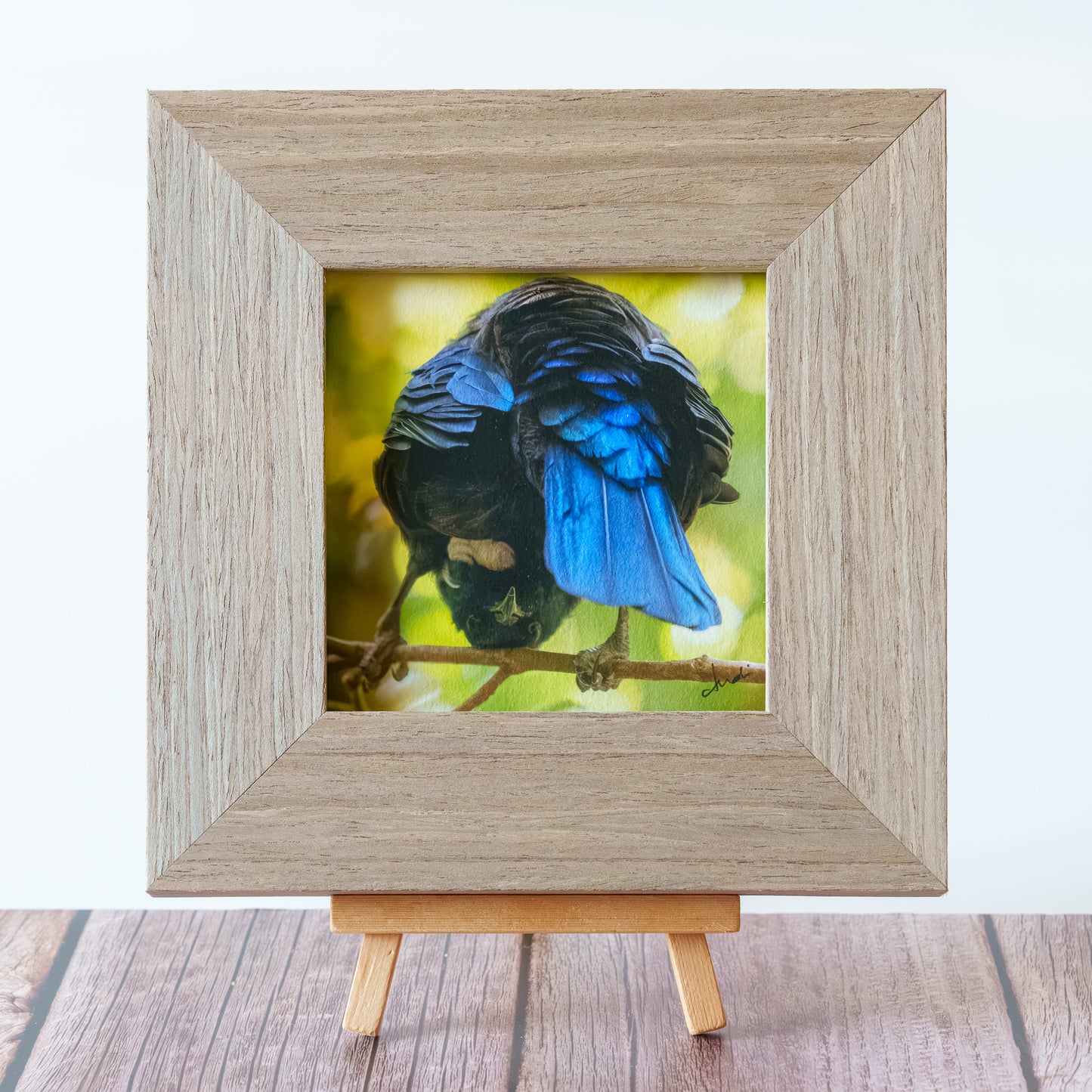 Framed TinyArt