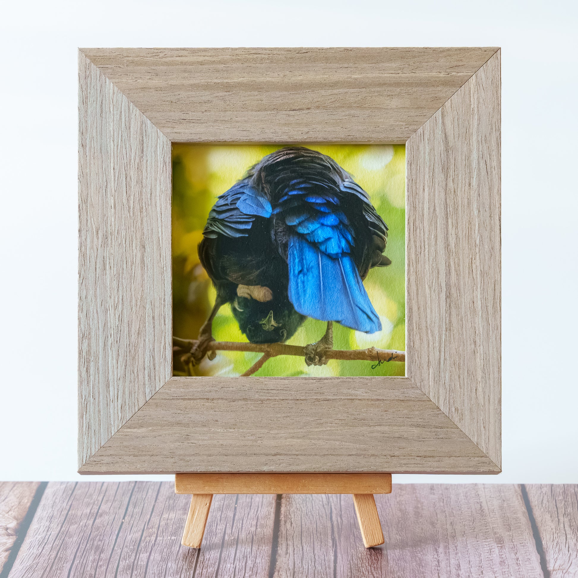 Framed TinyArt
