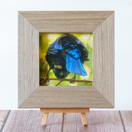 Framed TinyArt