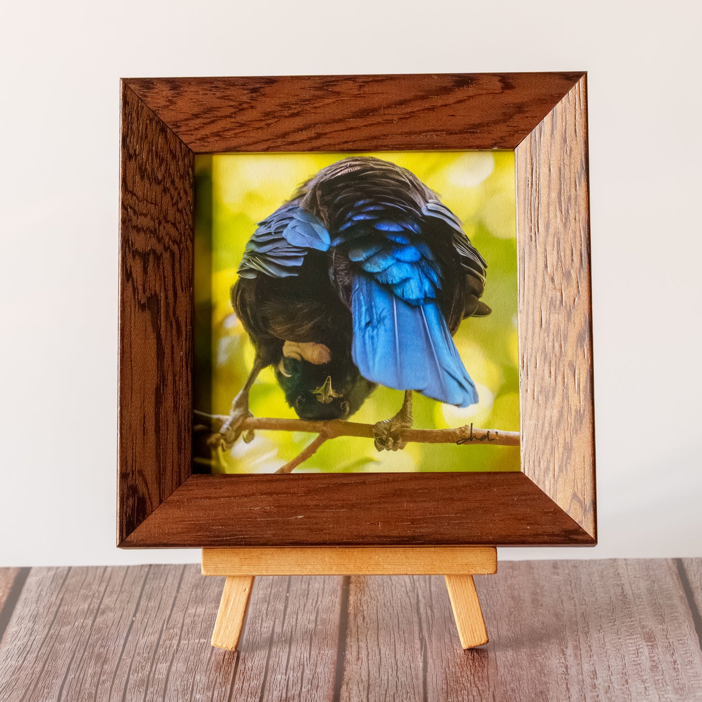Framed TinyArt