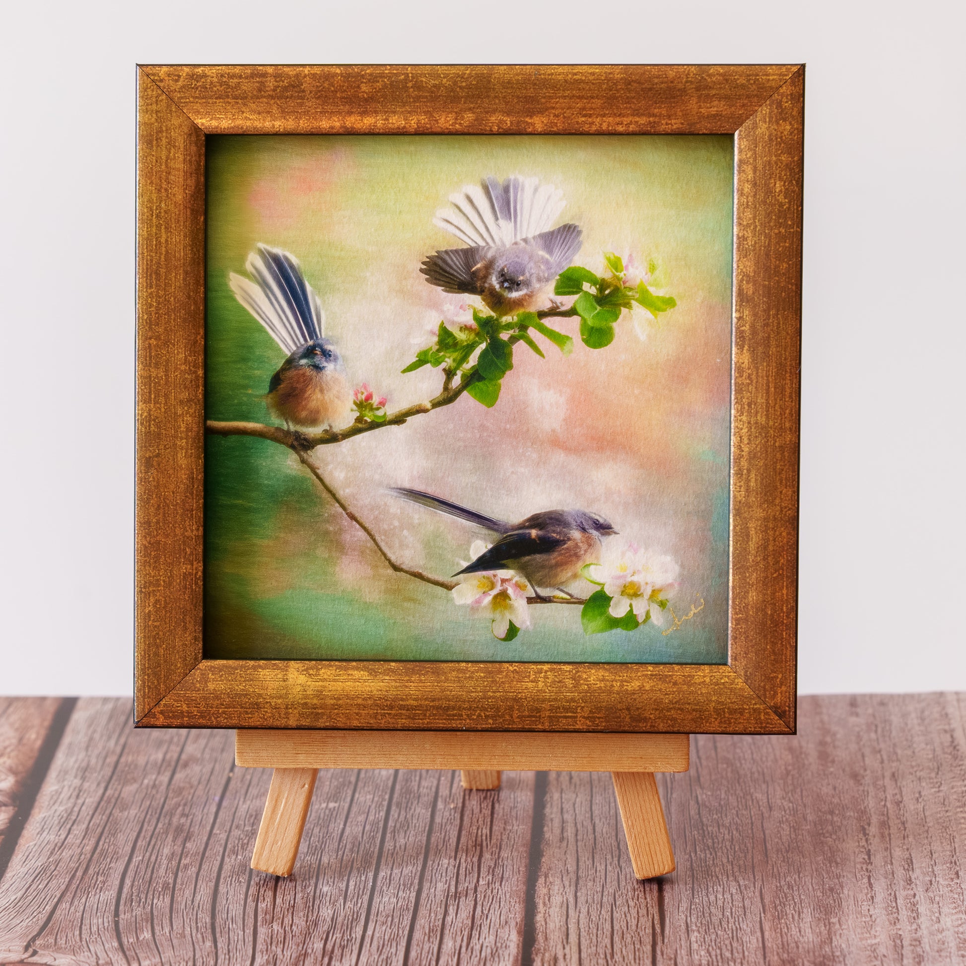 Framed TinyArt
