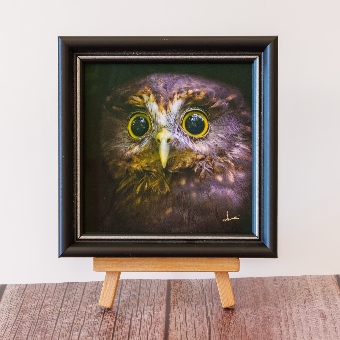 Framed TinyArt