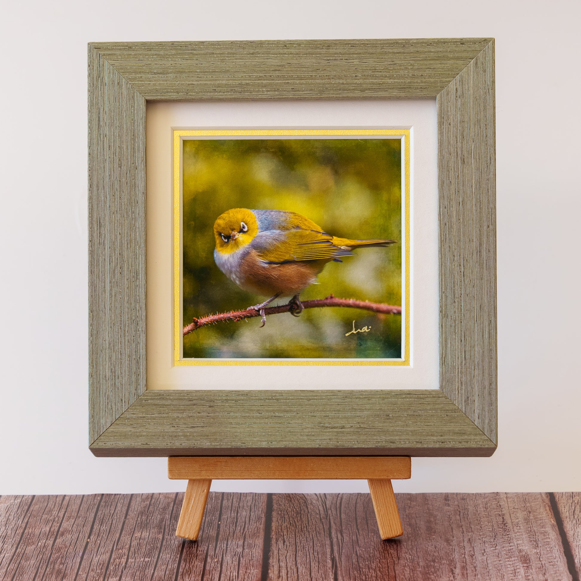 Framed TinyArt